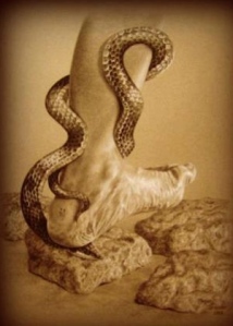 foot and snake
